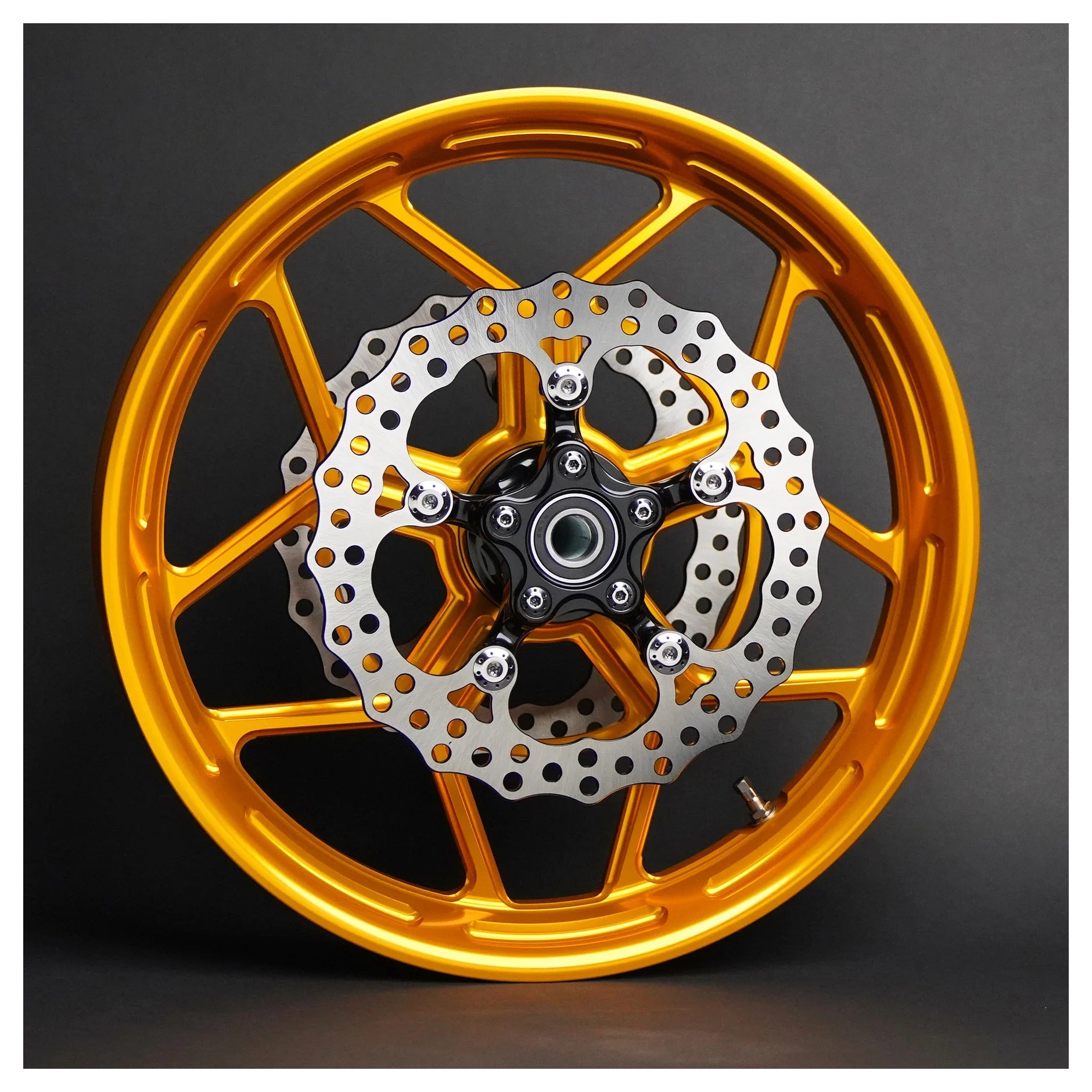 Disco de freno Arlen Ness Spider de 11,8" para Harley Touring con llantas Arlen Ness (2008-2026)