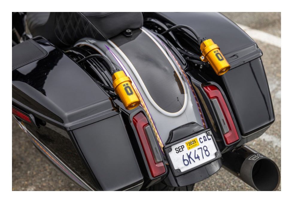 Guardabarros trasero de fibra de carbono Arlen Ness para Harley FLHX/FLTRX 2023-2026