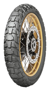 Neumáticos Dunlop Trailmax Raid