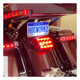 Luz trasera LED HogWorkz Xtreme con luz de matrícula para Harley 1999-2026