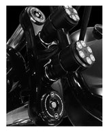 Sistema de suspensión delantera de alto rendimiento Legend Suspension AXEO para Harley