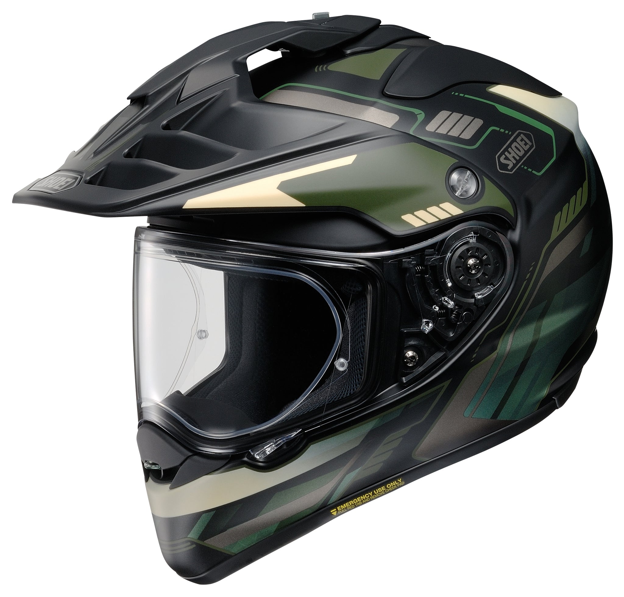 Shoei Hornet X2 Invigorate Casco